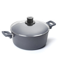 WOLL Gusstopf " NOWO TITANIUM", mit Deckel,  6 Liter, Ø 28 cm