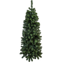 KOOPMANN Tannenbaum, 300cm