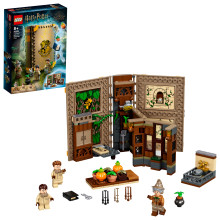 LEGO 76384 Harry Potter - Hogwarts™ Moment: Kräuterkundeunterricht